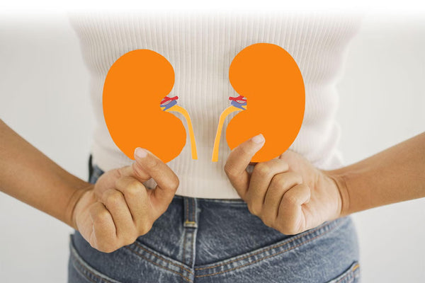 Kidney Health & Function