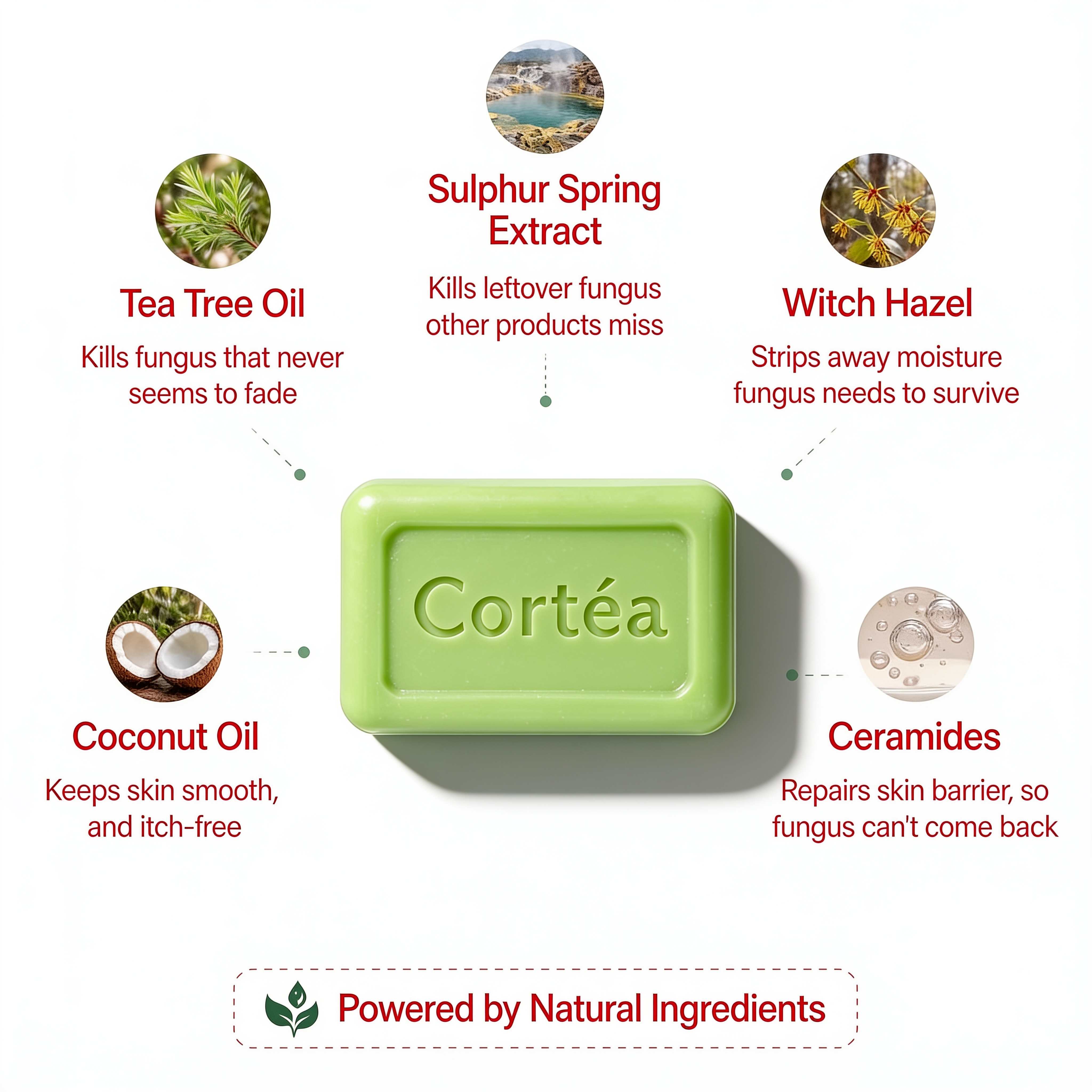Cortéa Antifungal Soap